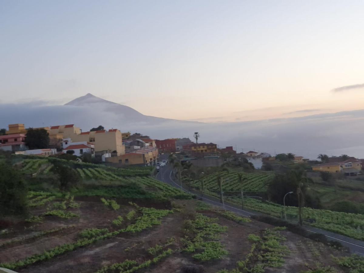 Villa La Casita La Matanza De Acentejo エクステリア 写真